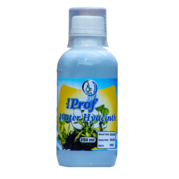 !Prof Water Hyacinth